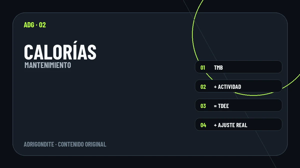 Diagrama desde la tasa metabólica basal hasta el gasto energético total